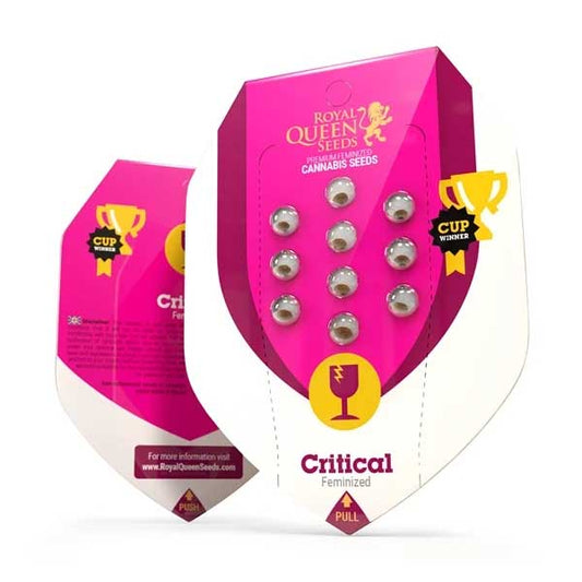 Critical Feminized | Royal Queen Seeds
